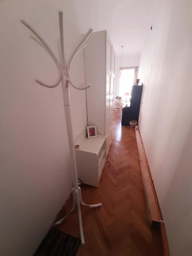 Central Loft Apartment Braşov Extérieur photo
