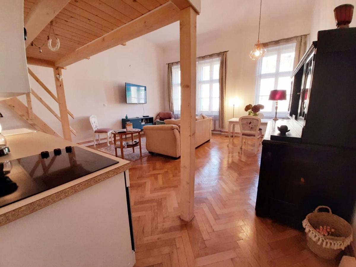 Central Loft Apartment Braşov Extérieur photo