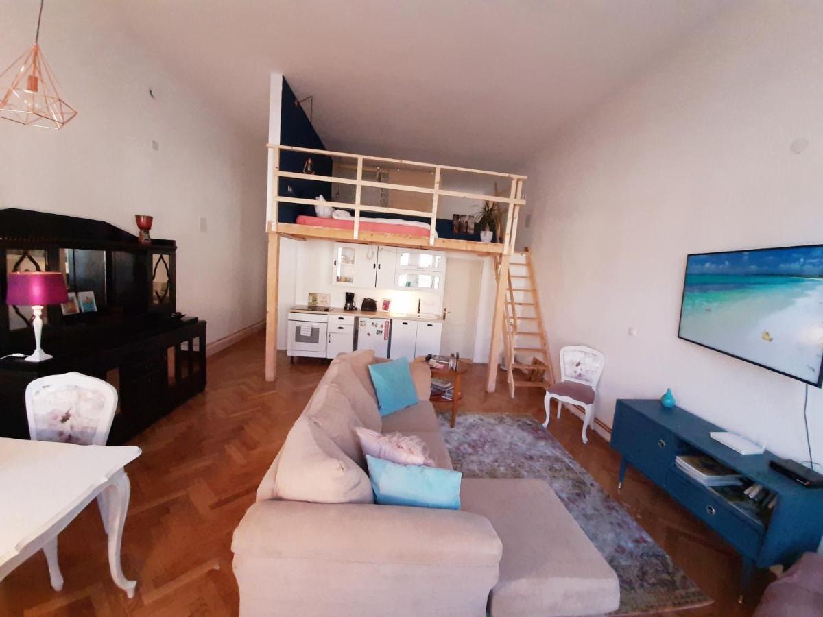 Central Loft Apartment Braşov Extérieur photo